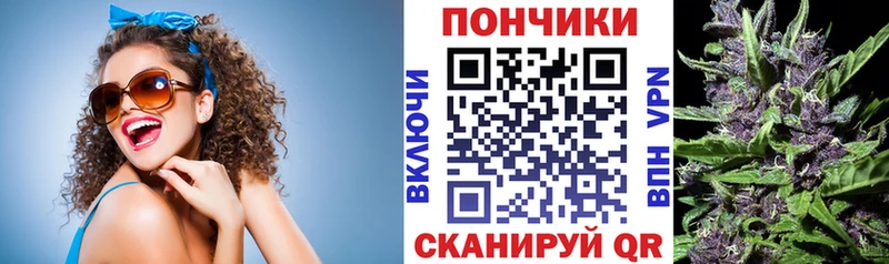 Бошки Шишки THC 21%  нарко площадка клад  Отрадное 
